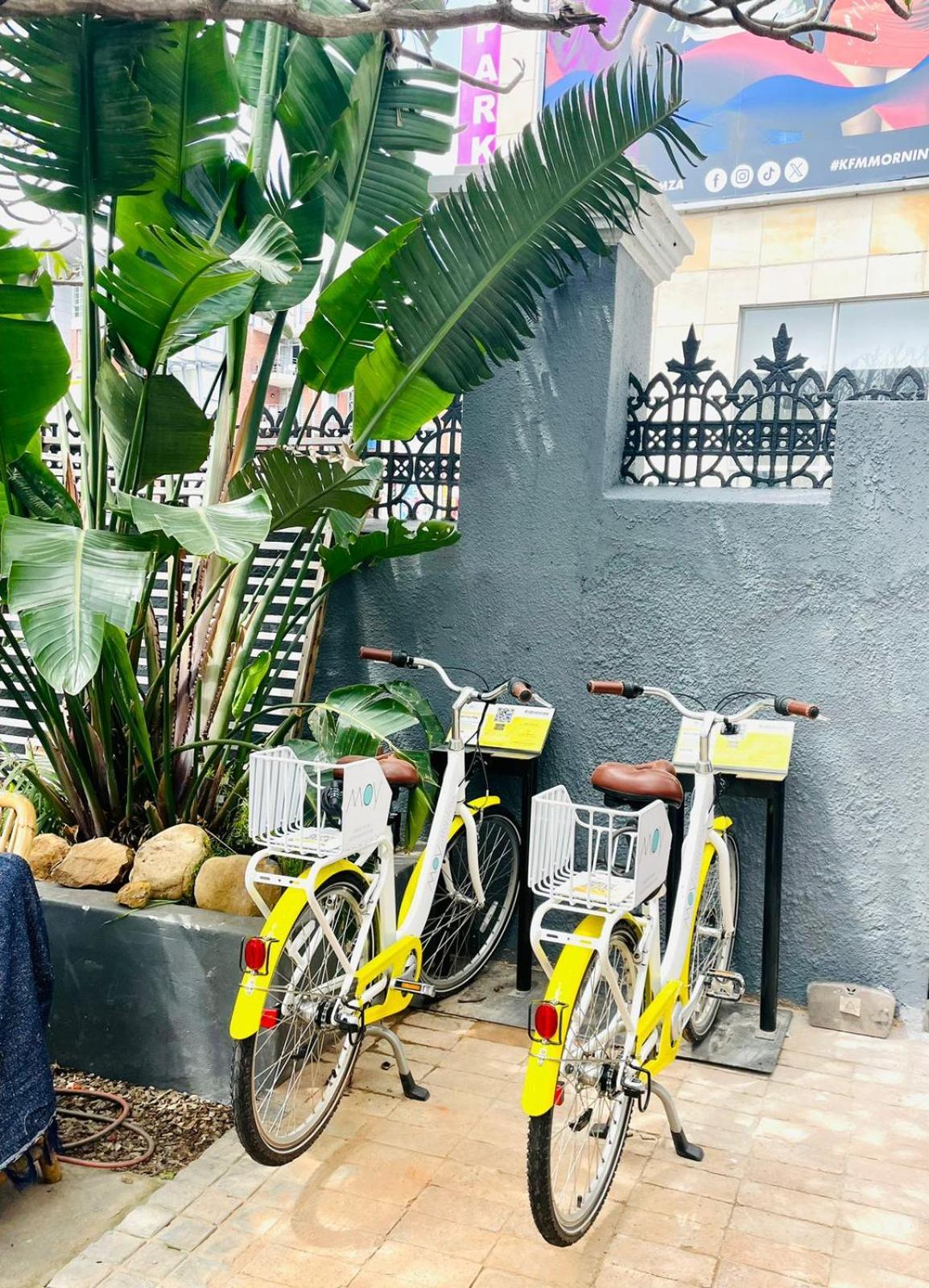 Moy Guesthouse & Backpackers Cape Town Ngoại thất bức ảnh
